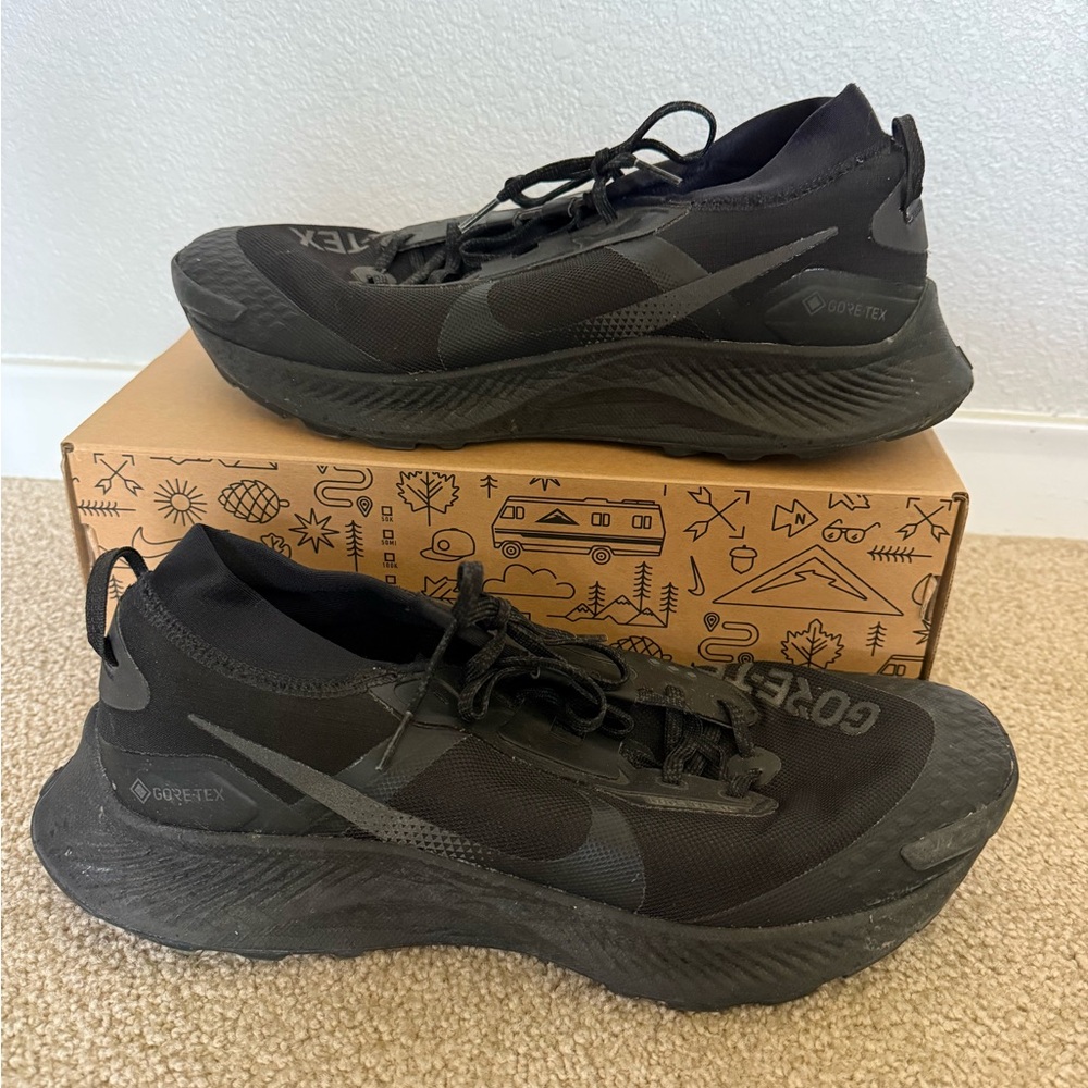 Nike Pegasus Trail 3 GTX